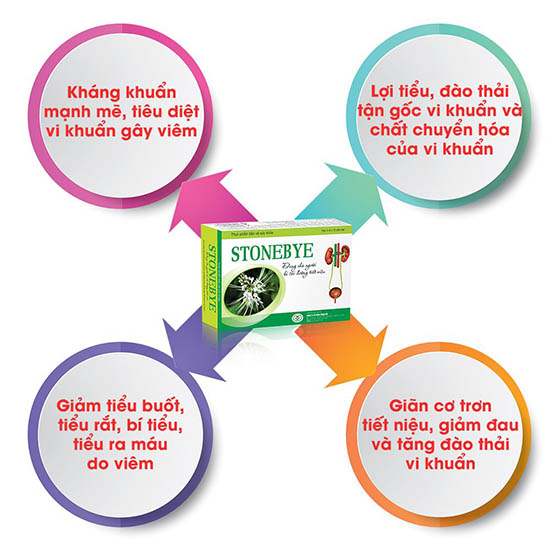 Stonebye và những công dụng với bệnh viêm bàng quang, viêm tiết niệu