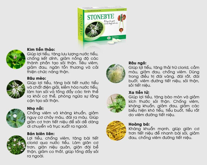Lợi ích cộng hưởng từ 7 thành phần có trong viên uống Stonebye